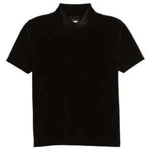 Madewell Mockneck Velvet Tee